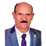 Prof. Elsayed Ebaid